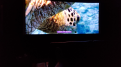 Click image for larger version

Name:	conch.PNG
Views:	104
Size:	7.45 MB
ID:	7243