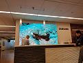 Click image for larger version

Name:	samsung  hq led wall-10.jpg
Views:	335
Size:	1.30 MB
ID:	7747