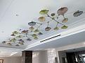 Click image for larger version

Name:	IMG_0974.jpg
Views:	171
Size:	326.8 KB
ID:	8335