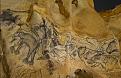 Click image for larger version

Name:	chauvet cave.JPG
Views:	380
Size:	460.2 KB
ID:	8555